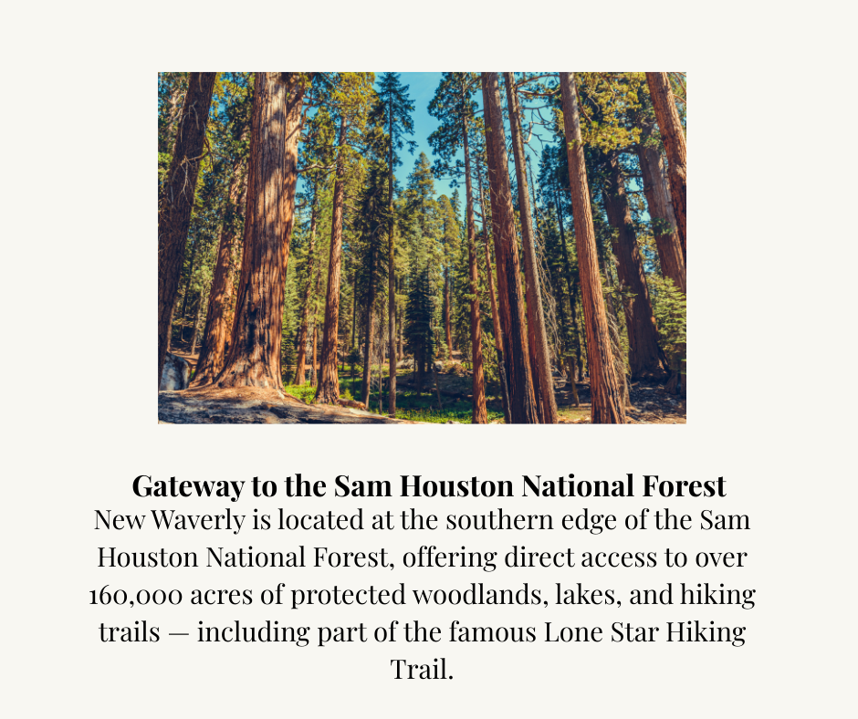 Gateway to the Sam Houston National Forest